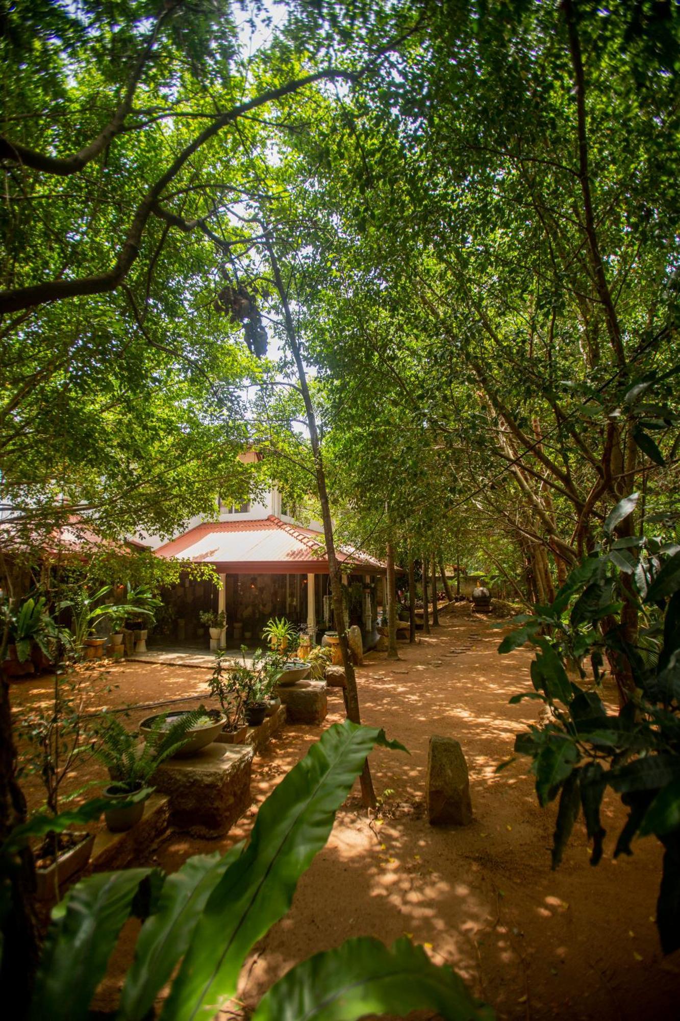 Evergreen Hotel דמבולה מראה חיצוני תמונה
